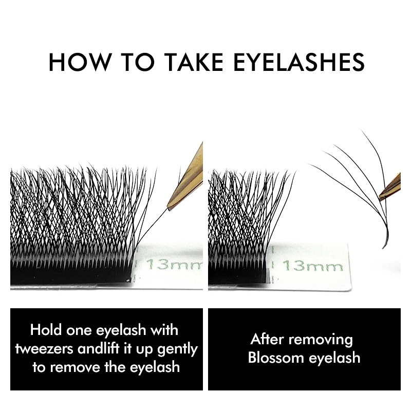 3D 4D 5D 6D W Şekilli Yonca Ki - Eyelash Extension Russian incelemesi ve fiyatı